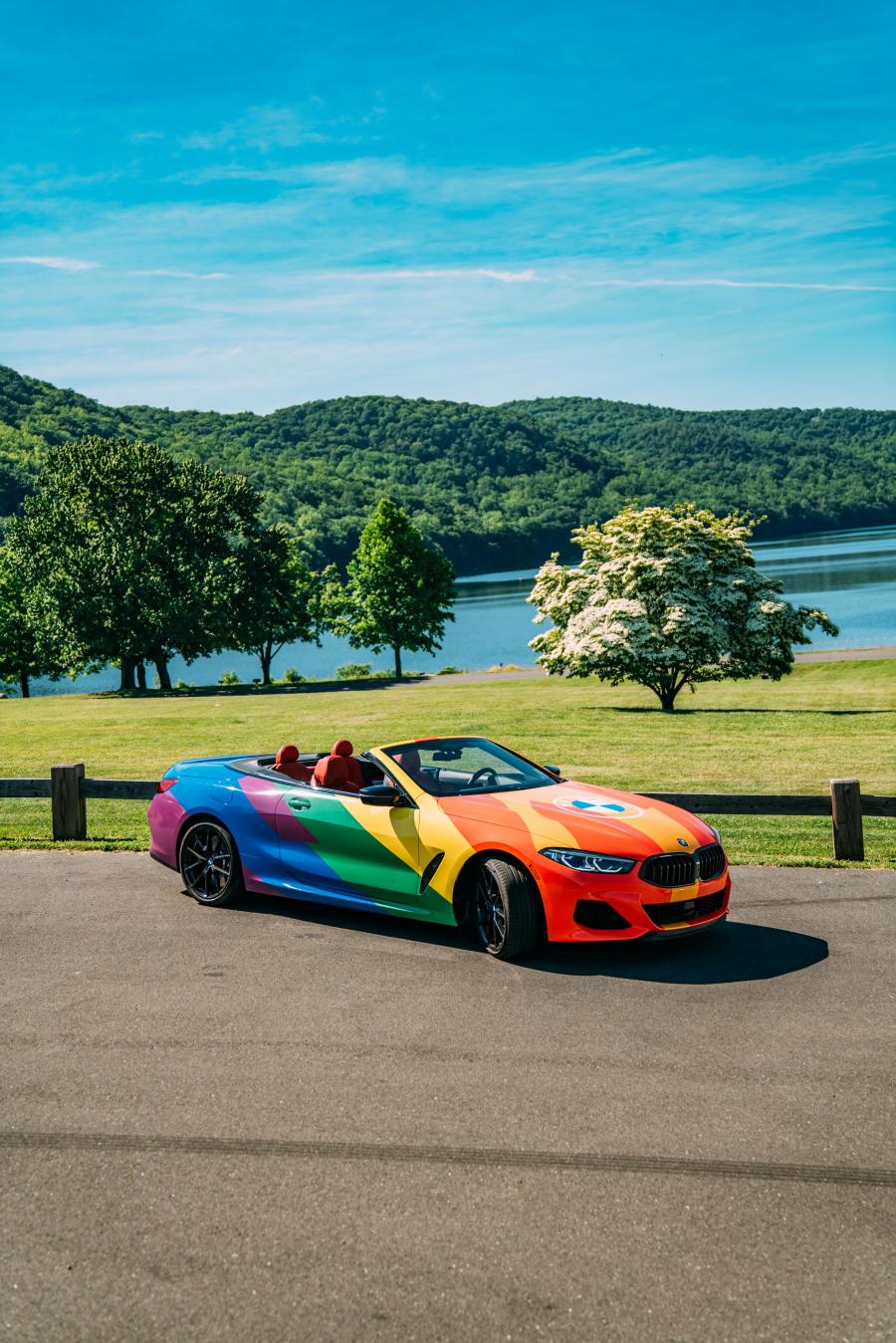  BMW M850i xDrive Cabriolet LGBTQ+ (G14) 2020 года  (фото 2 из 12)